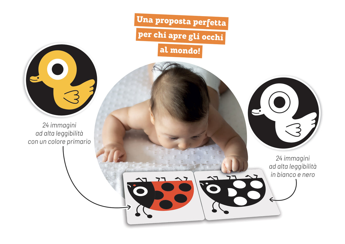 Giorno notte::Flash cards ad alta leggibilità