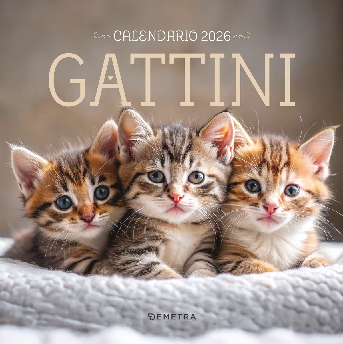 CALENDARIO GATTINI 2026 da parete (30 x 30 cm)