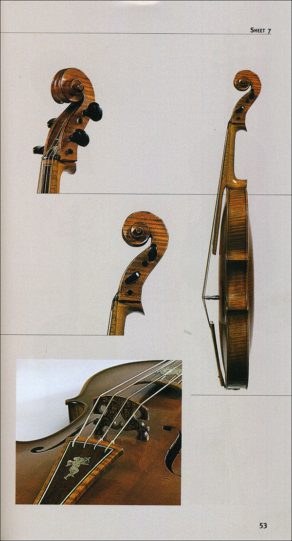 Strumenti musicali. Guida alle collezioni medicee e lorenesi::Galleria dell'Accademia. Collezione del Conservatorio Luigi Cherubini