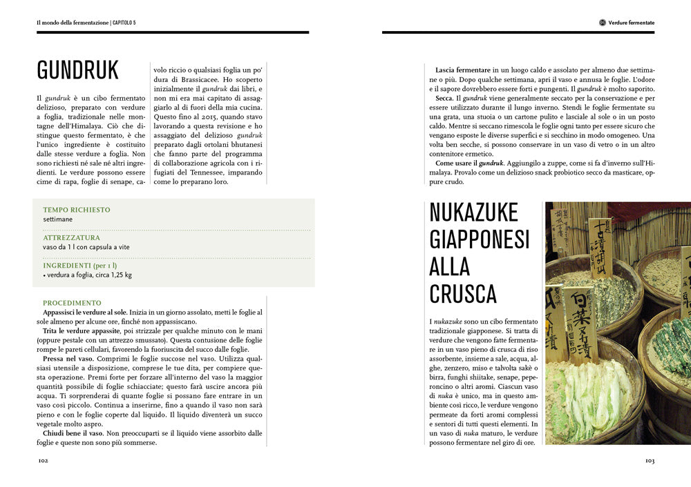 Il mondo della fermentazione::Il sapore, le qualità nutrizionali e la produzione di cibi vivi fermentati
