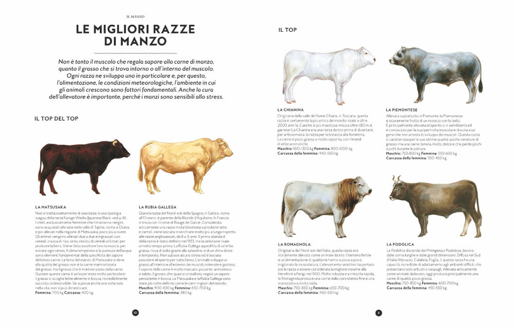 Il grande libro della carne::Tutte le razze, le provenienze, i tagli e le tecniche di cottura