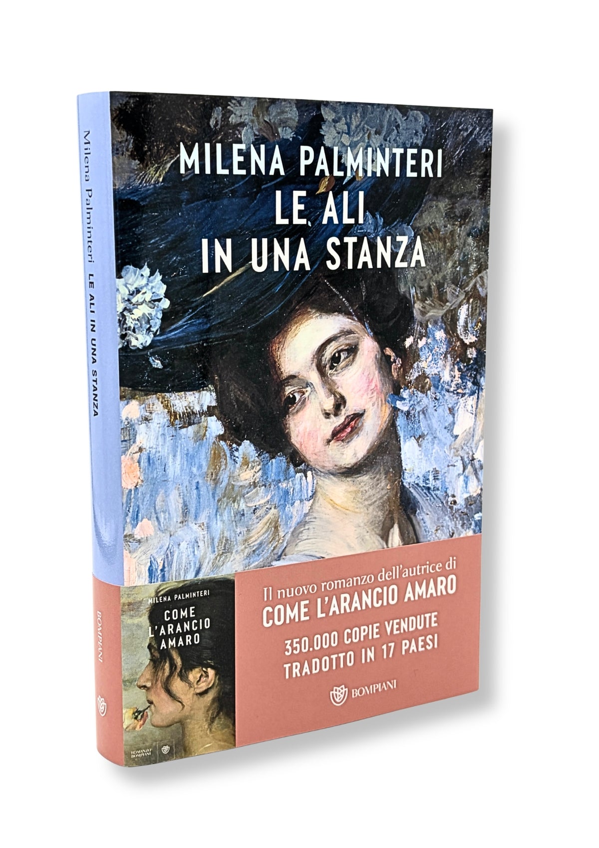 Le ali in una stanza