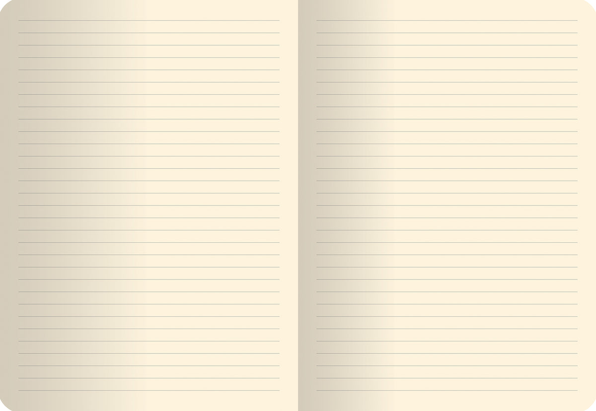 Notebook Doppio Smerlo Pallini