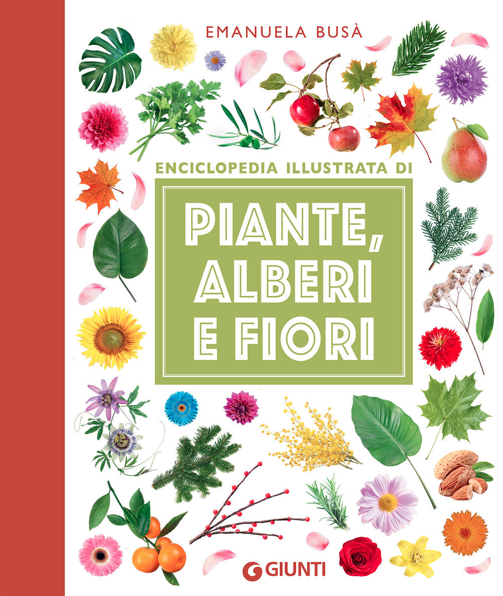 Piante, alberi e fiori
