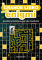 Il grande libro degli enigmi::misteri e rompicapo da risolvere