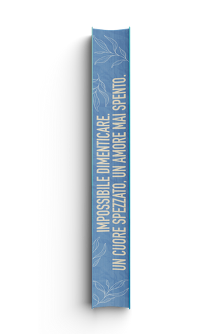 nola-13-variante-2-3d