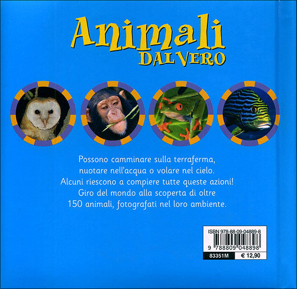 Animali dal vero