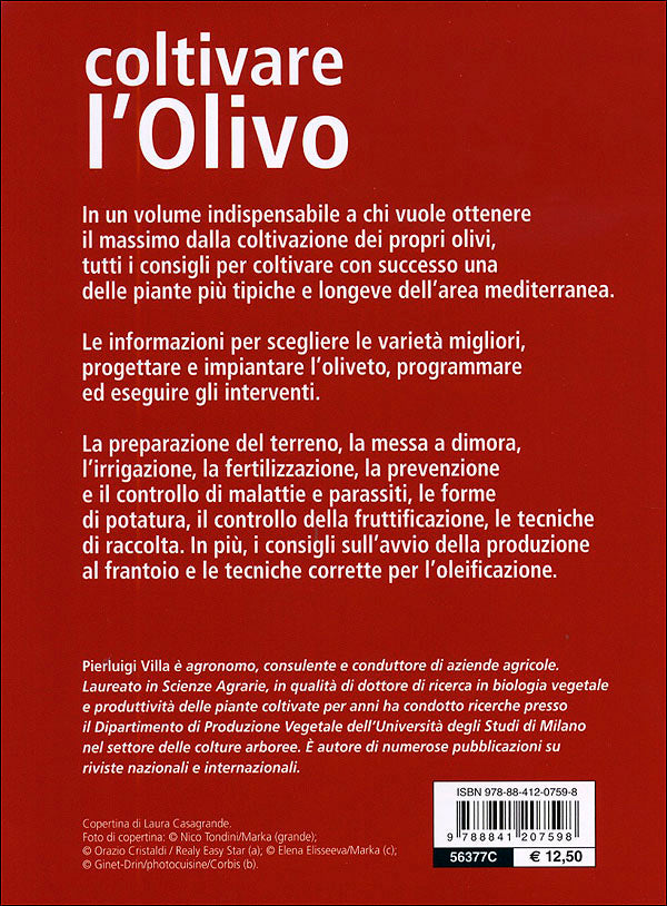Coltivare l'Olivo::Le varietà, le forme di allevamento, le cure dall'impianto alla produzione dell'olio