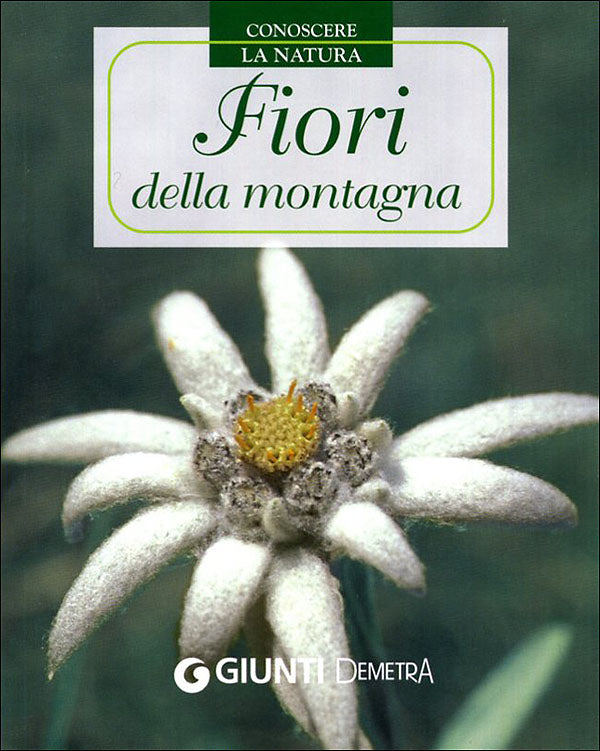 Fiori della montagna