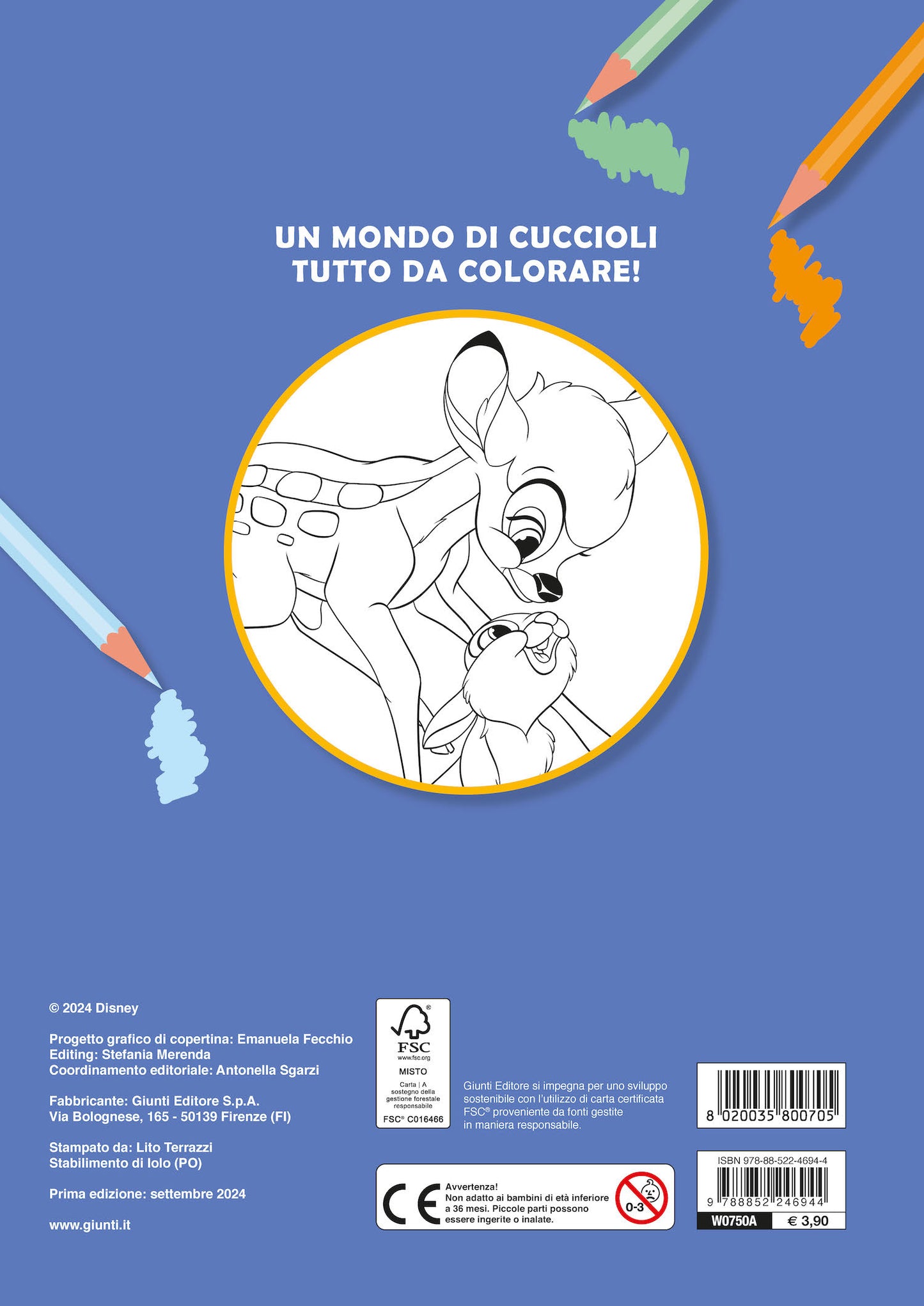 Cuccioli dal cuore d'oro Primo album da colorare Disney::Re Leone