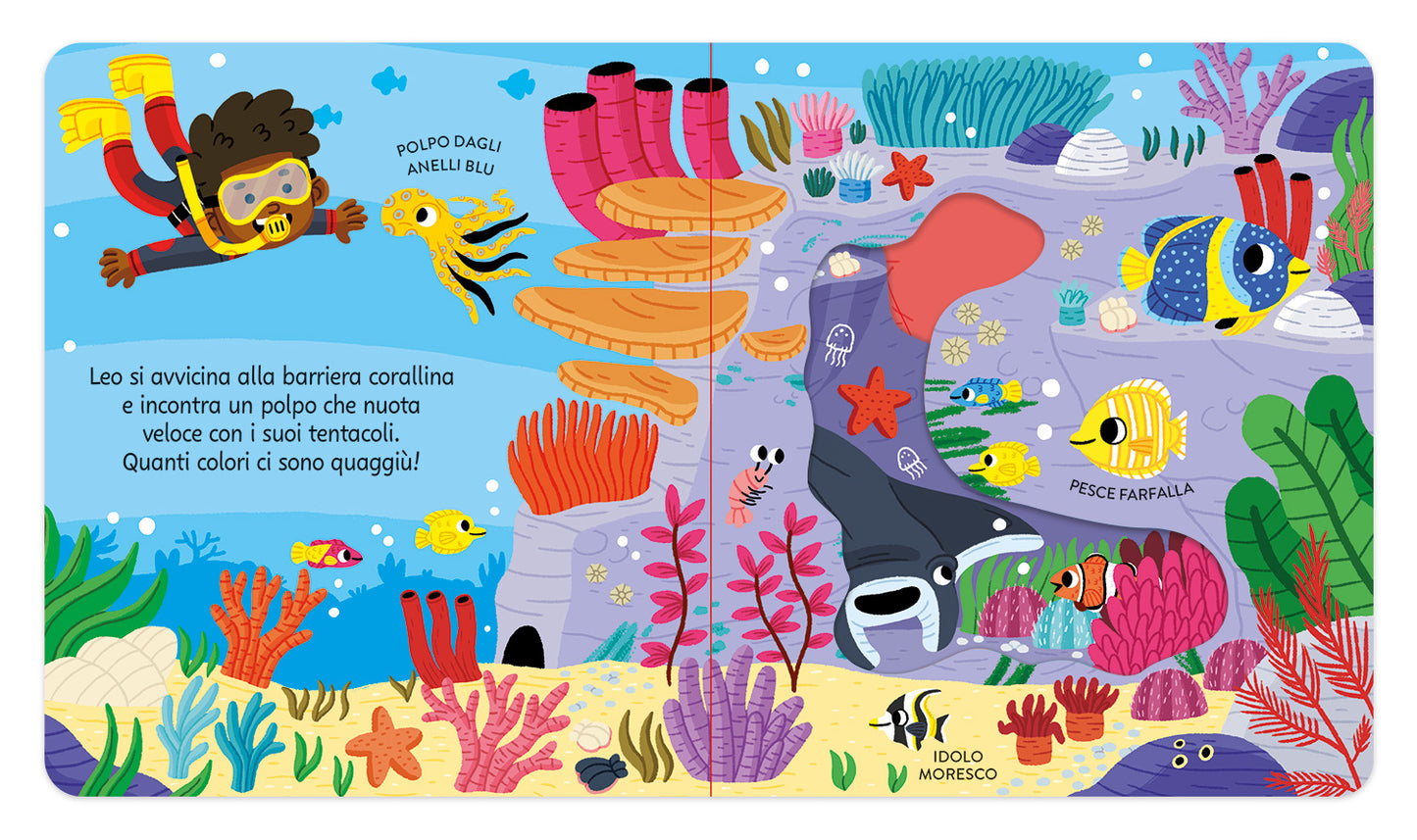 Zoom. Avventura nell'Oceano