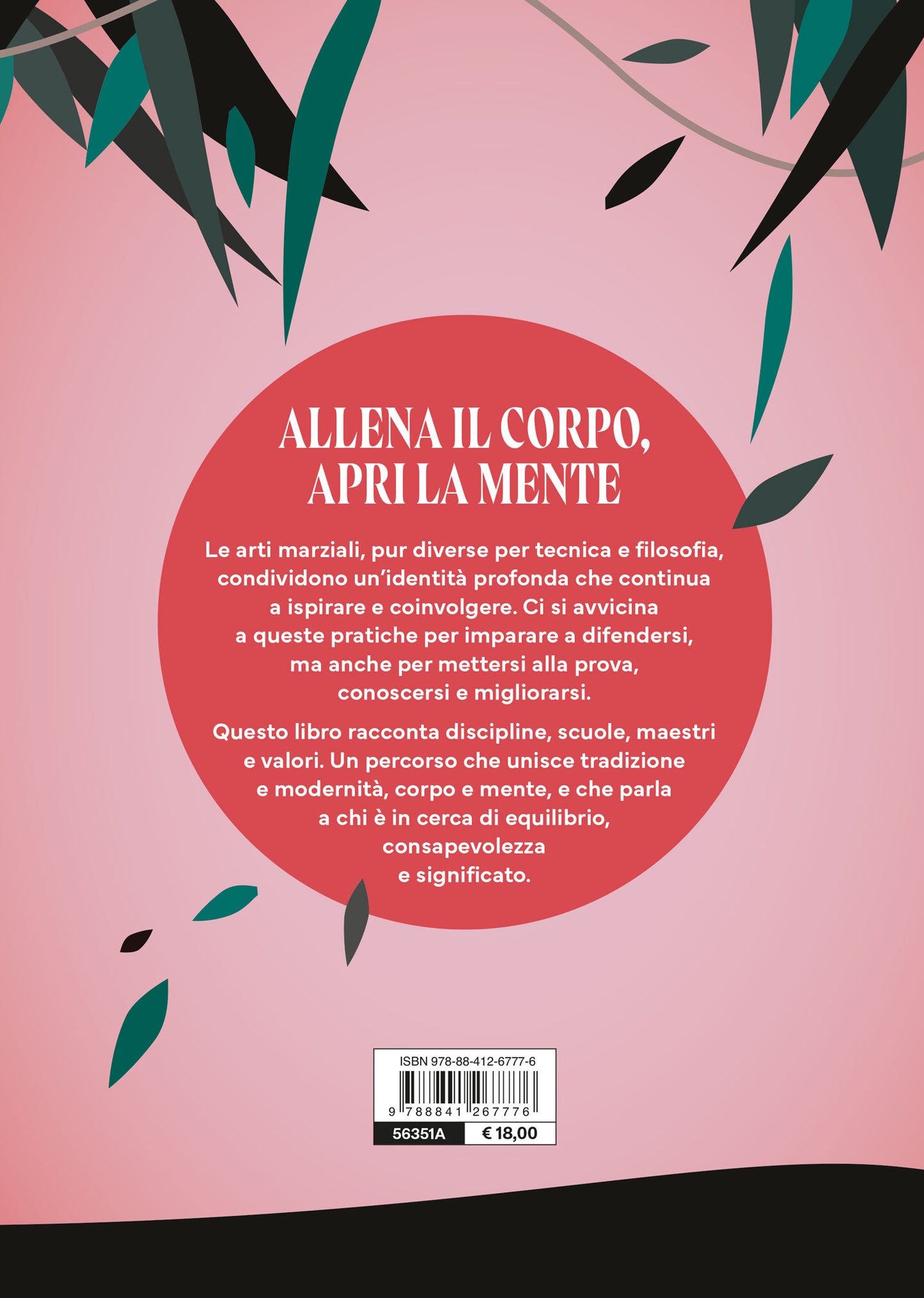 I segreti delle arti marziali