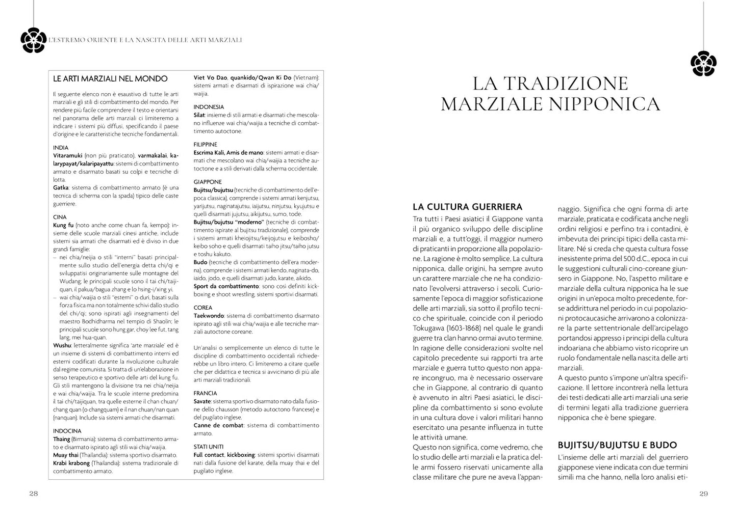 I segreti delle arti marziali