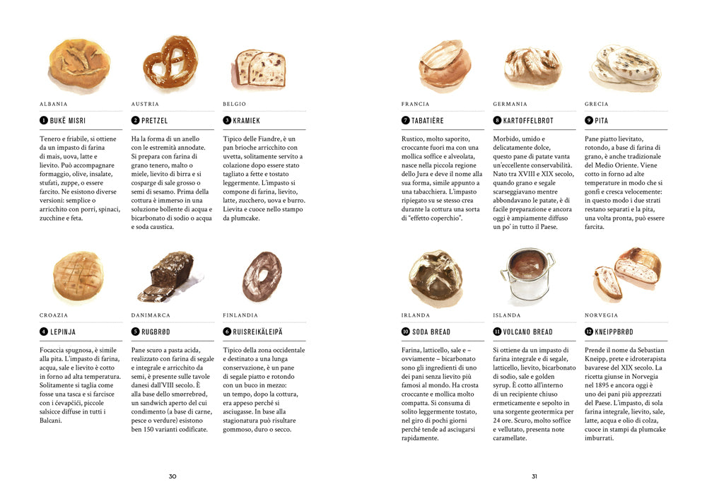 TUTTO IL MONDO DEL PANE::400 PANI. 70 RICETTE. SCUOLE, TECNICHE, LIEVITI MADRE NEI CINQUE CONTINENTI