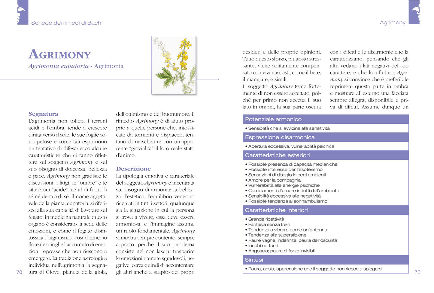 FIORI DI BACH::Il manuale completo