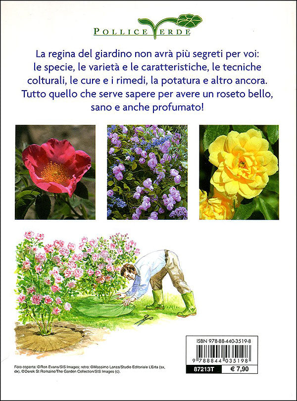 La rosa::classificazione, scelta, cure colturali