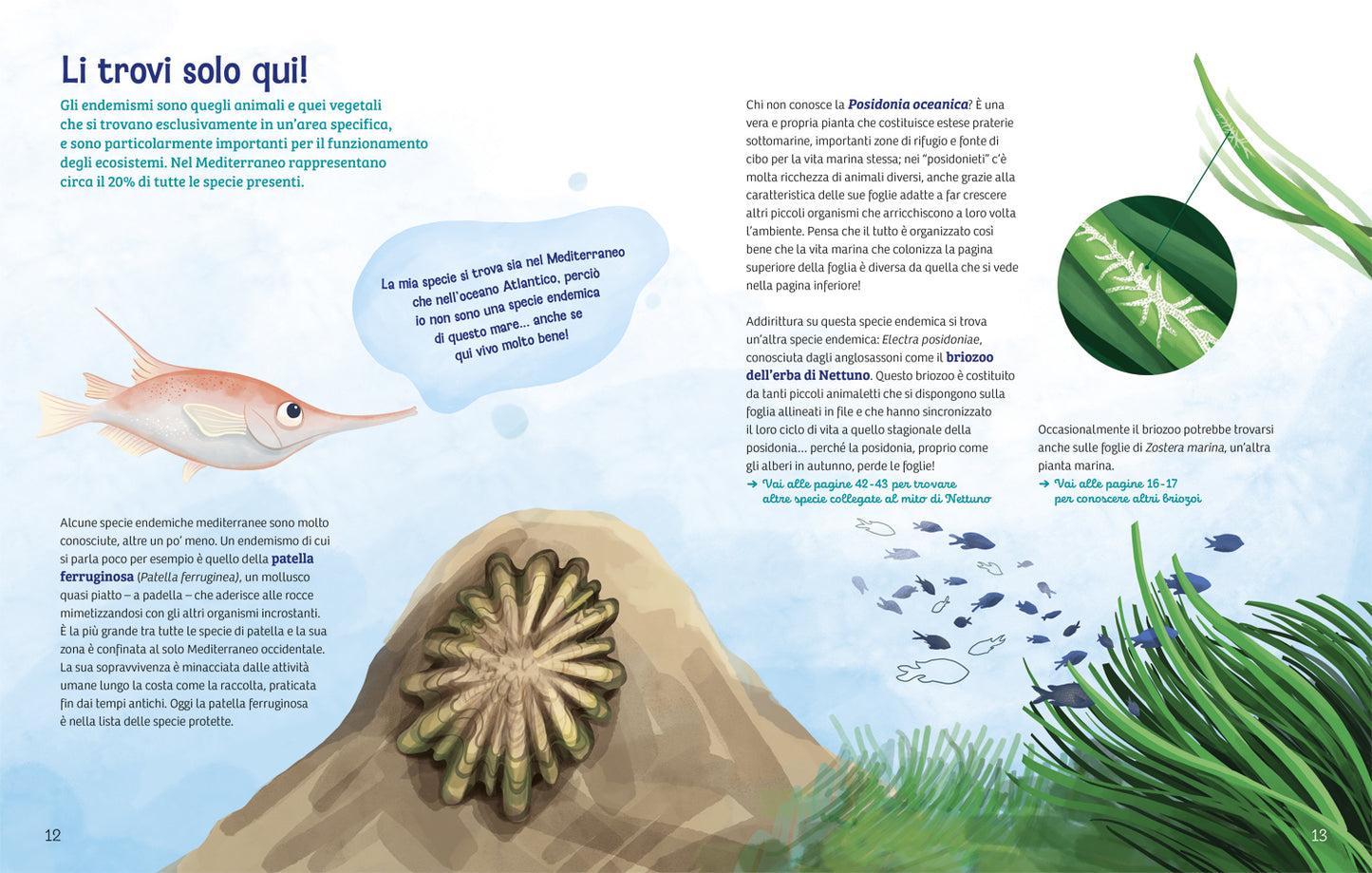 Cronache dal Mediterraneo::Storie biodiverse sotto le onde del mare