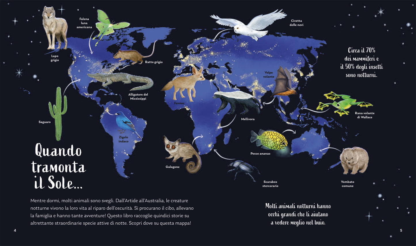 I segreti della notte::Storie della buonanotte per scoprire la natura