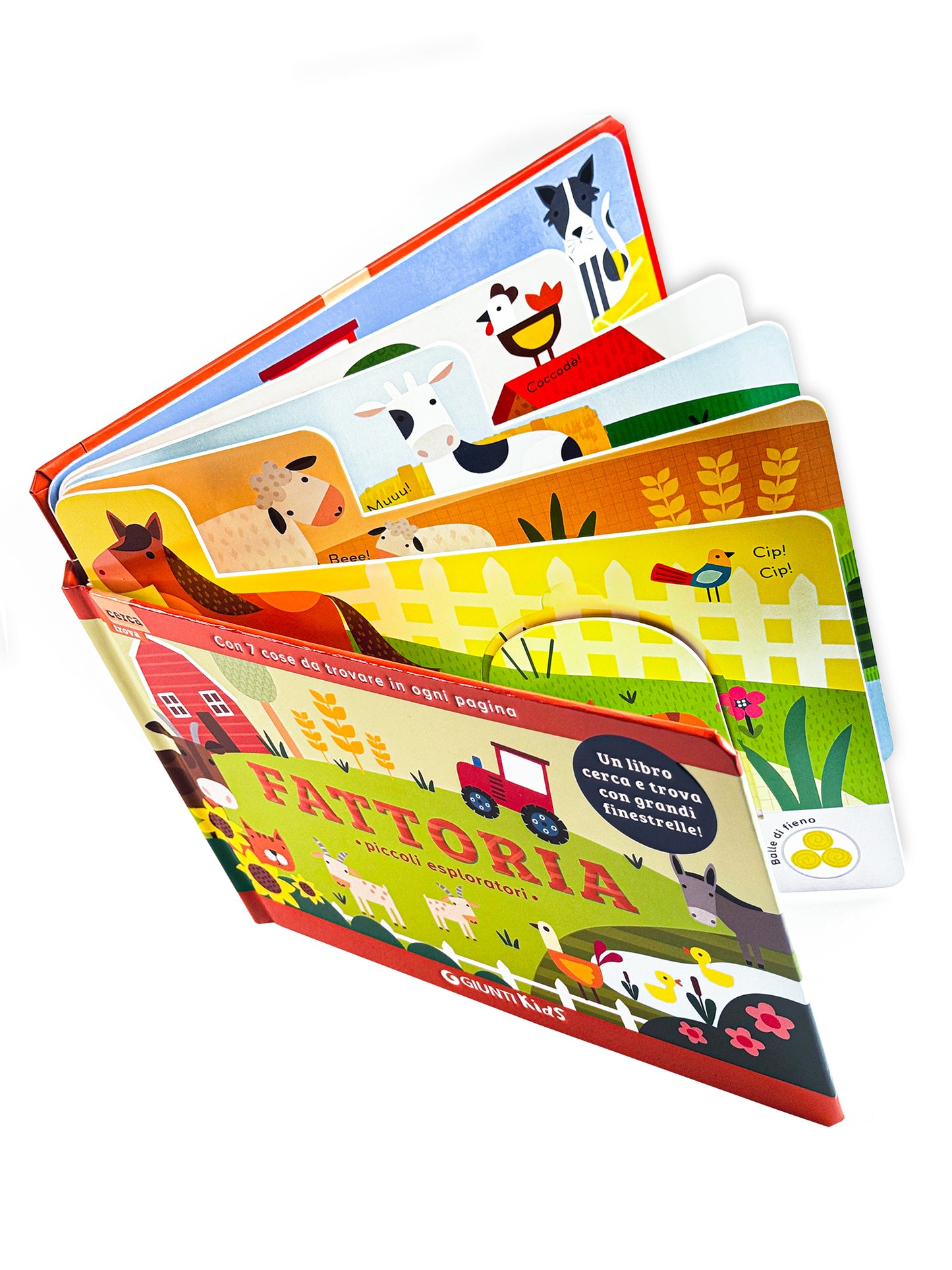 Fattoria::Piccoli esploratori