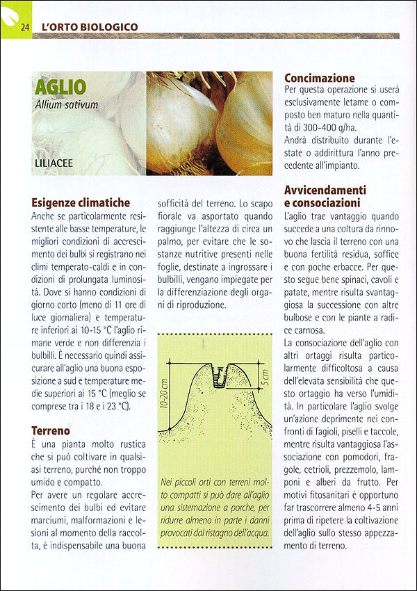 Orto e Frutteto Biologici::Guida completa per ottenere ortaggi e frutti sani e gustosi