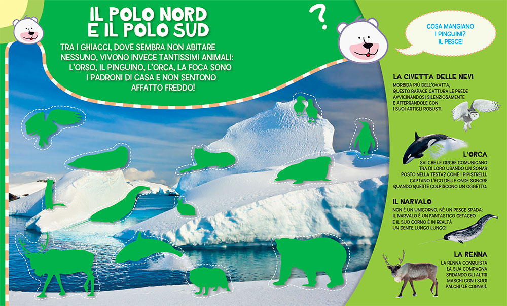 Super stickers. Animali Selvaggi