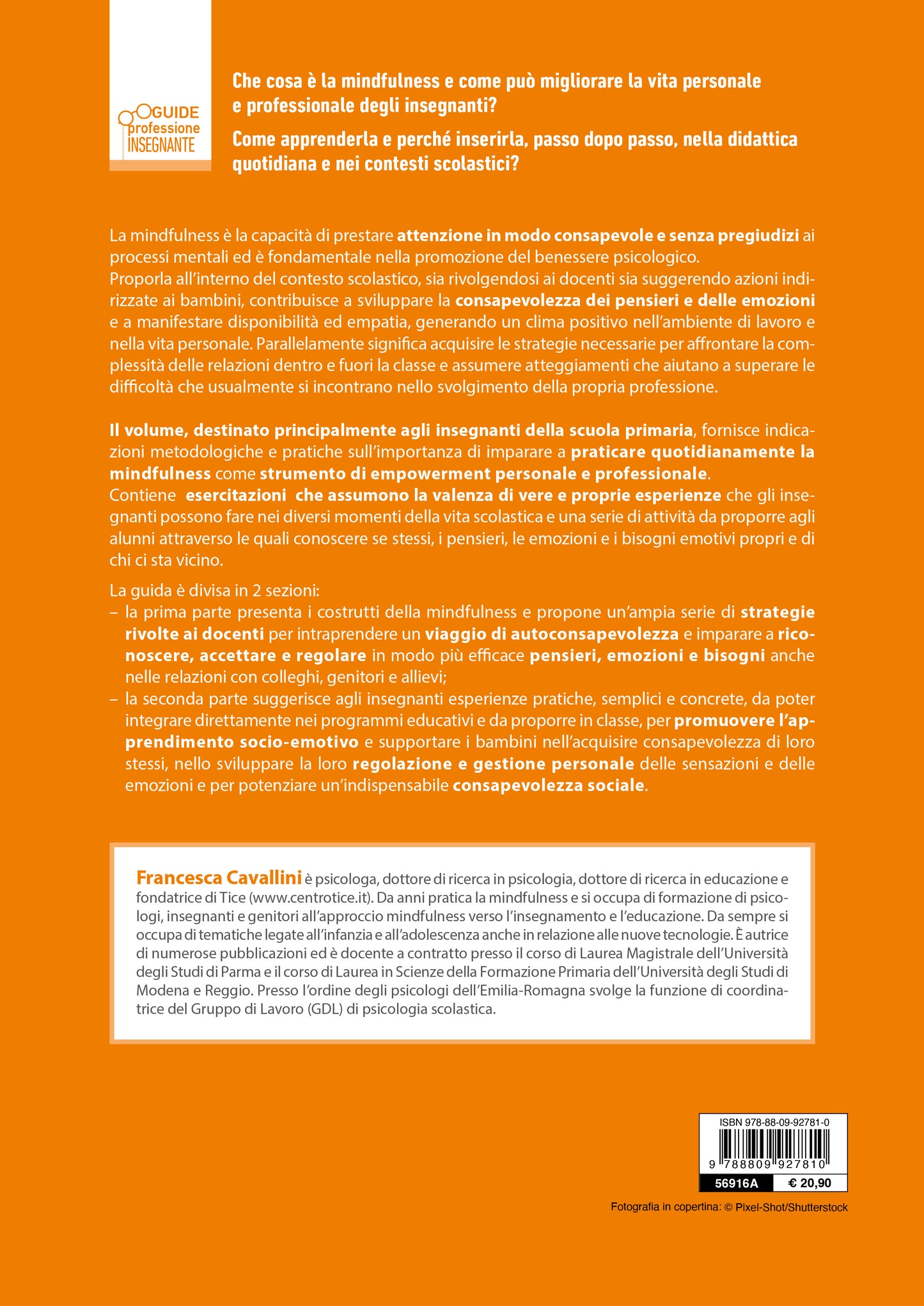 Praticare la mindfulness a scuola ::Metodologie e attività per il benessere e la regolazione delle emozioni di insegnanti e allievi