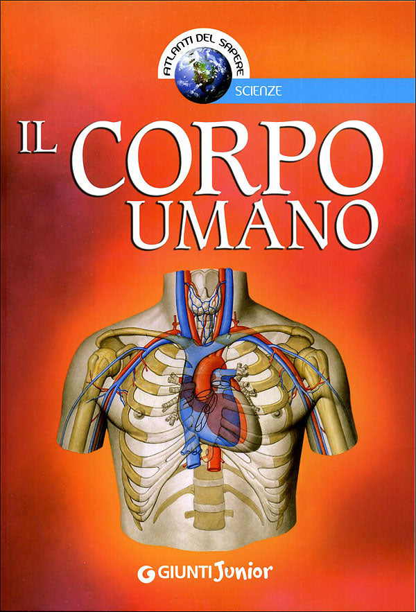 Il Corpo Umano::Illustrazioni di Pietro Cattaneo, Diego Pasquino, Elisabetta Ferrero