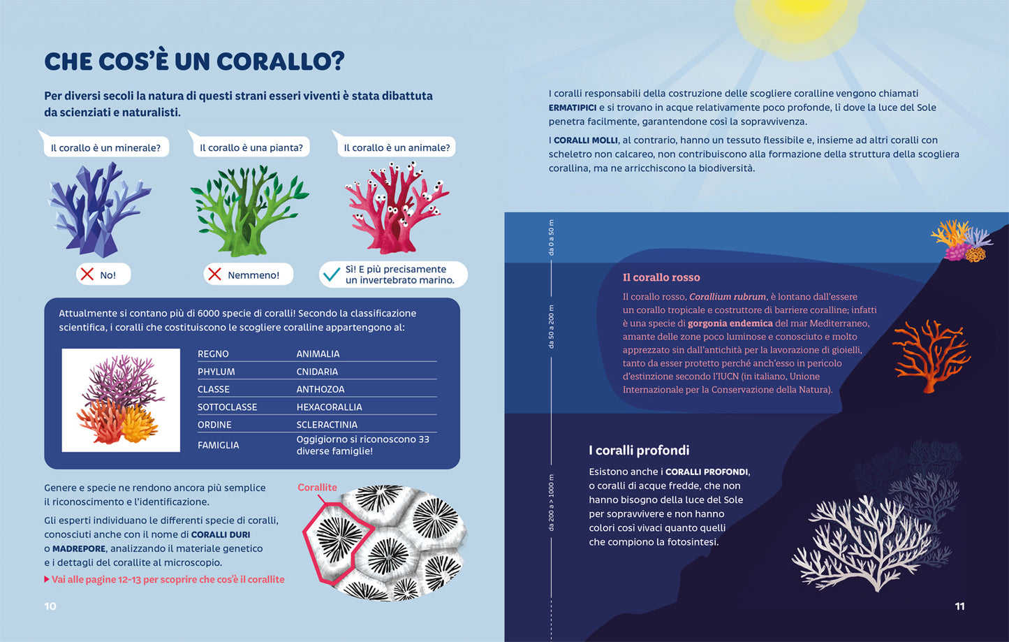 Foreste coralline::Un tesoro marino da preservare