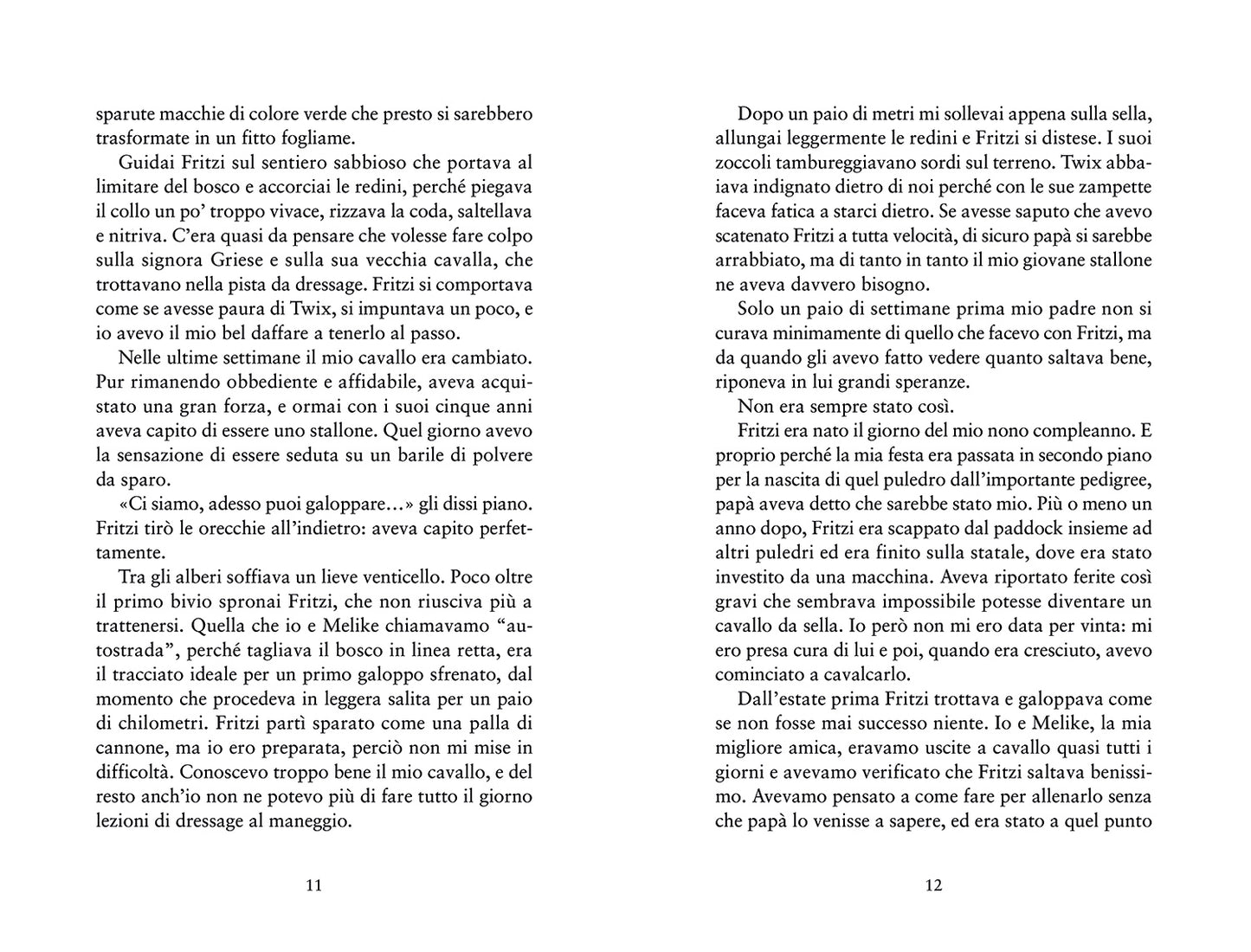 Elena. L'estate della decisione::2