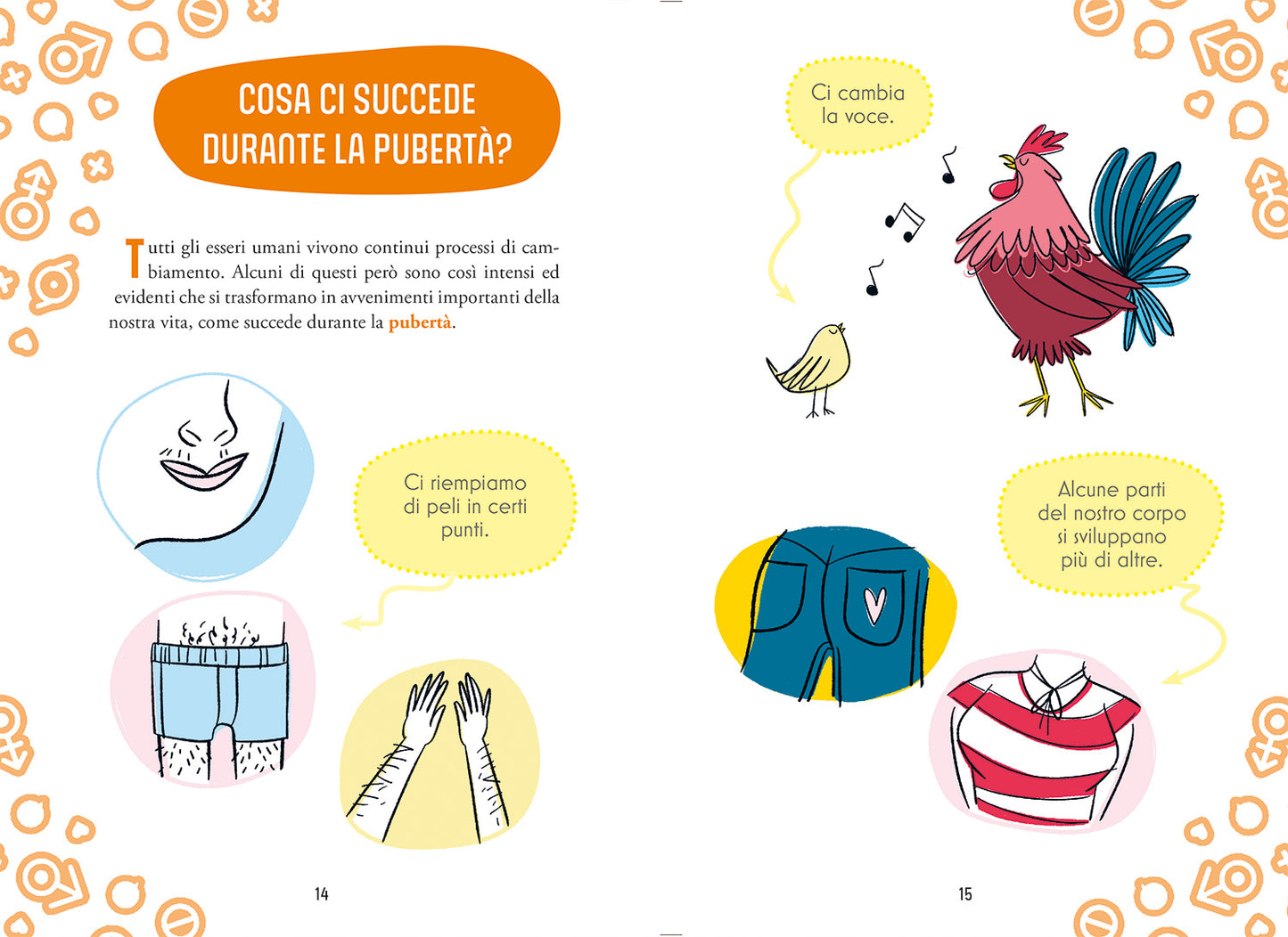 Cosa succede nella pubertà?