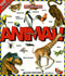 Animali::100 finestrelle!