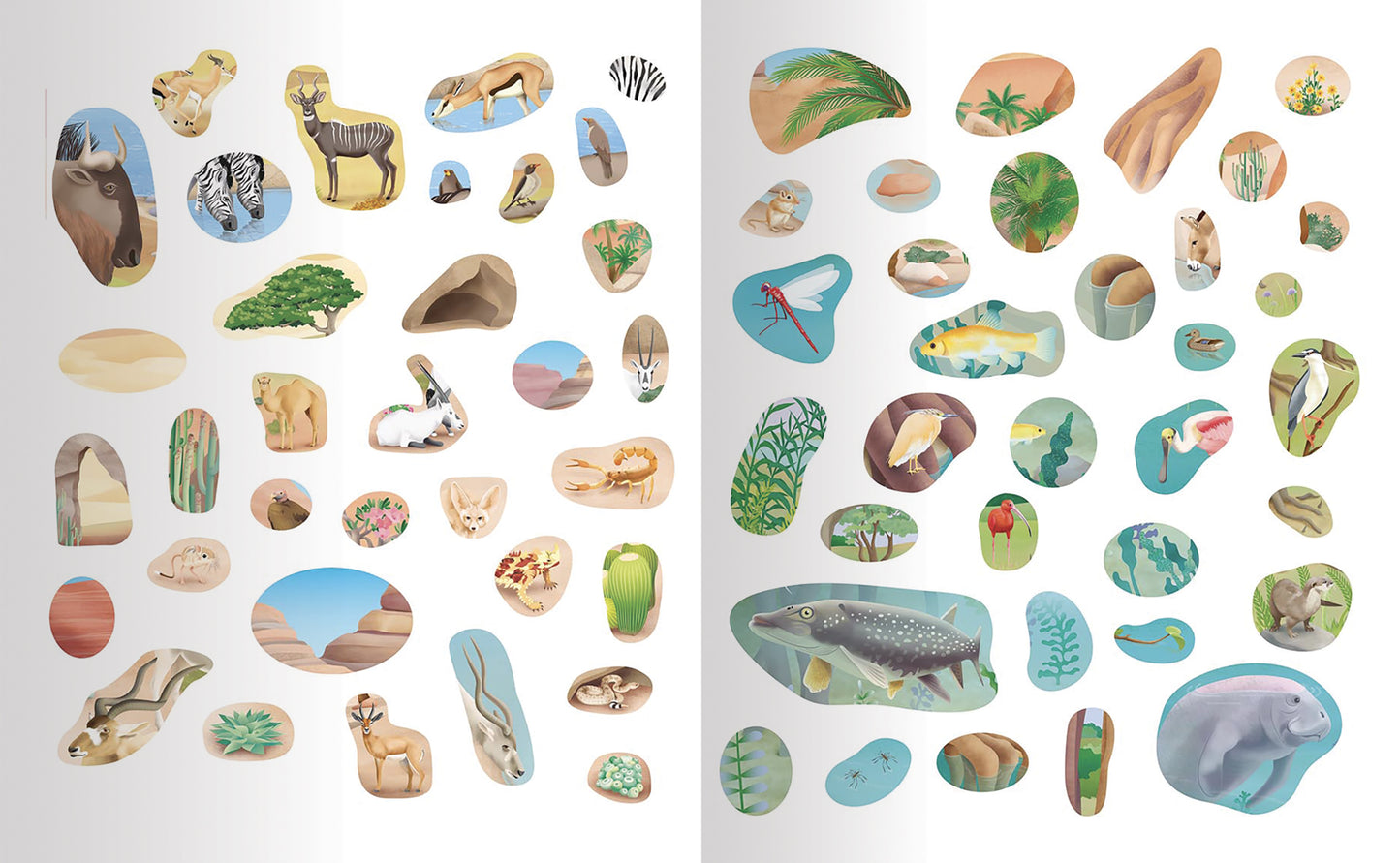 Animali e i loro ambienti