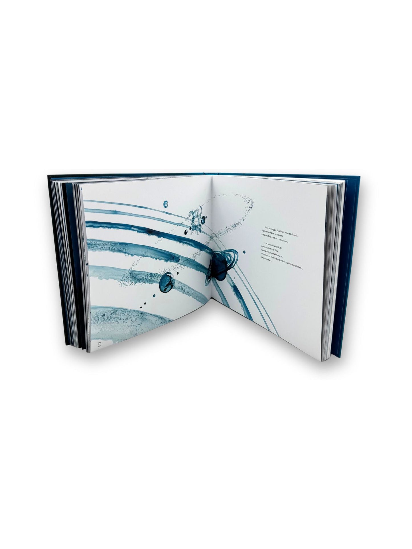 Il lato curvo dell'universo::Un'odissea tra buchi neri, wormhole, viaggi nel tempo e onde gravitazionali