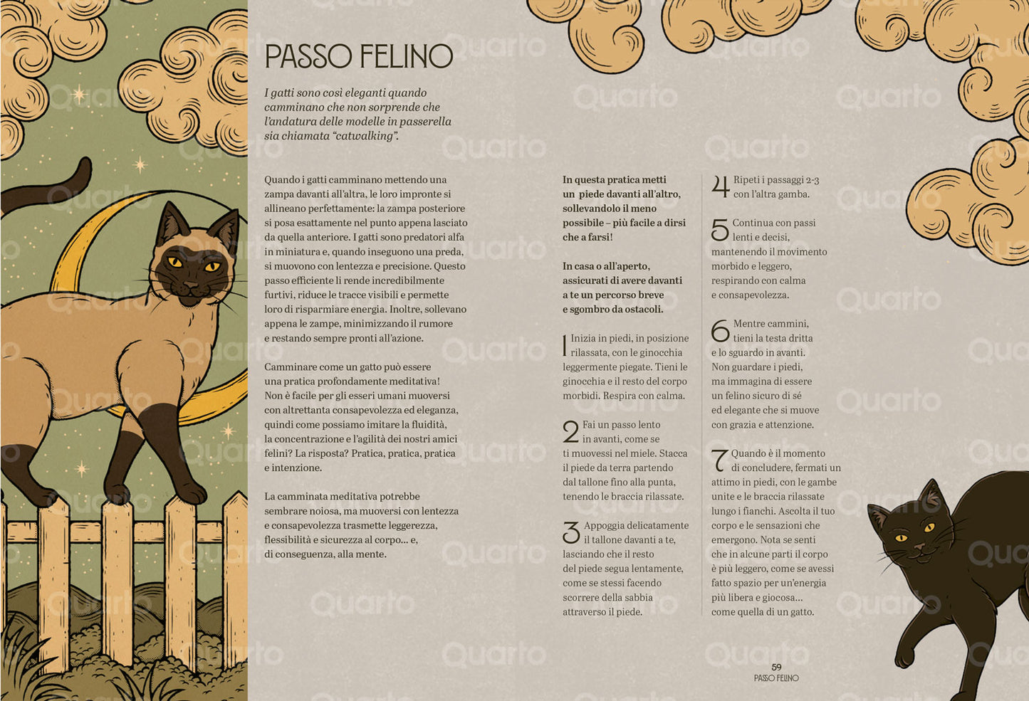 GATTI ZEN::Guida felina alla meditazione