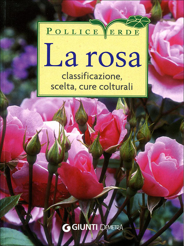 La rosa::classificazione, scelta, cure colturali