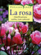 La rosa::classificazione, scelta, cure colturali