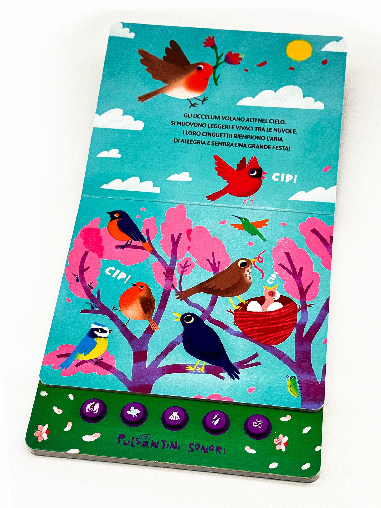 I suoni della natura