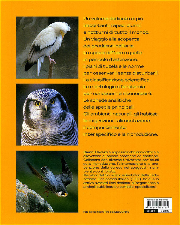 Rapaci diurni e notturni