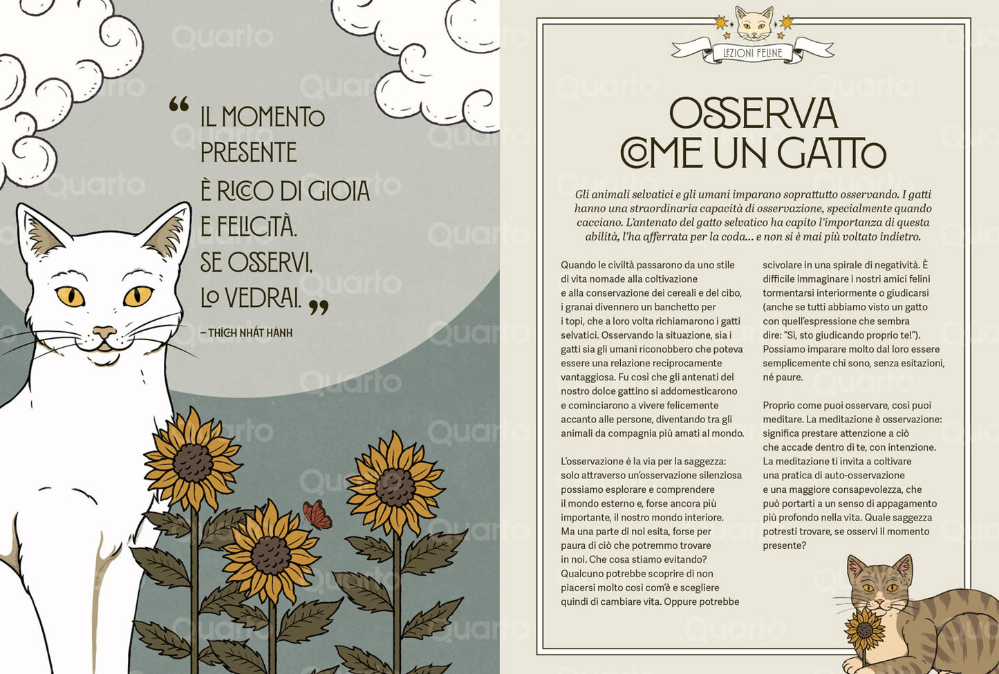 GATTI ZEN::Guida felina alla meditazione