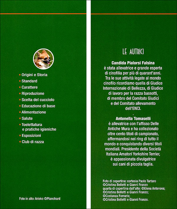 Chihuahua::Scelta del cucciolo - Standard - Educazione - Alimentazione - Salute