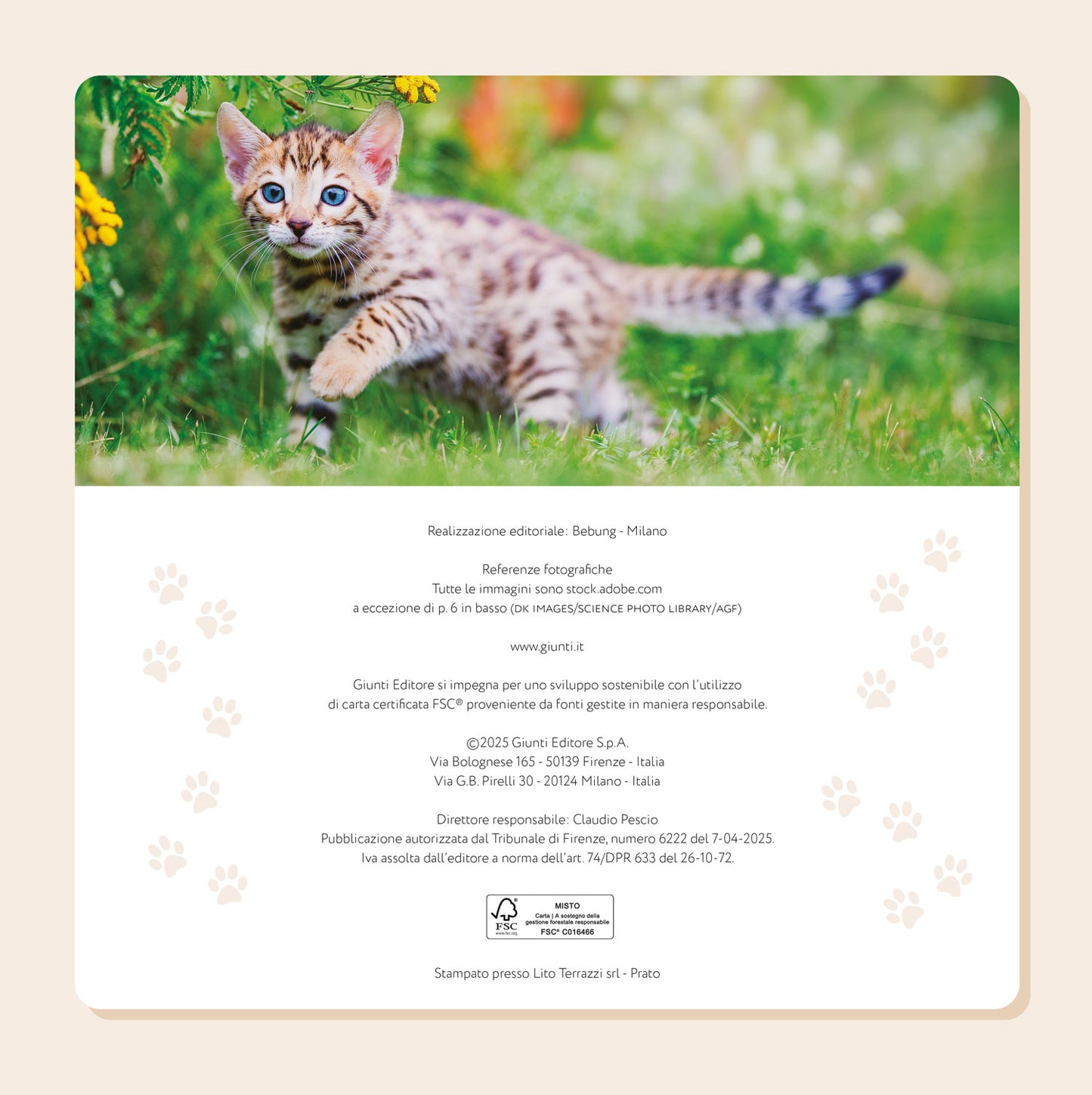 CALENDARIO GATTINI 2026 da parete (30 x 30 cm)