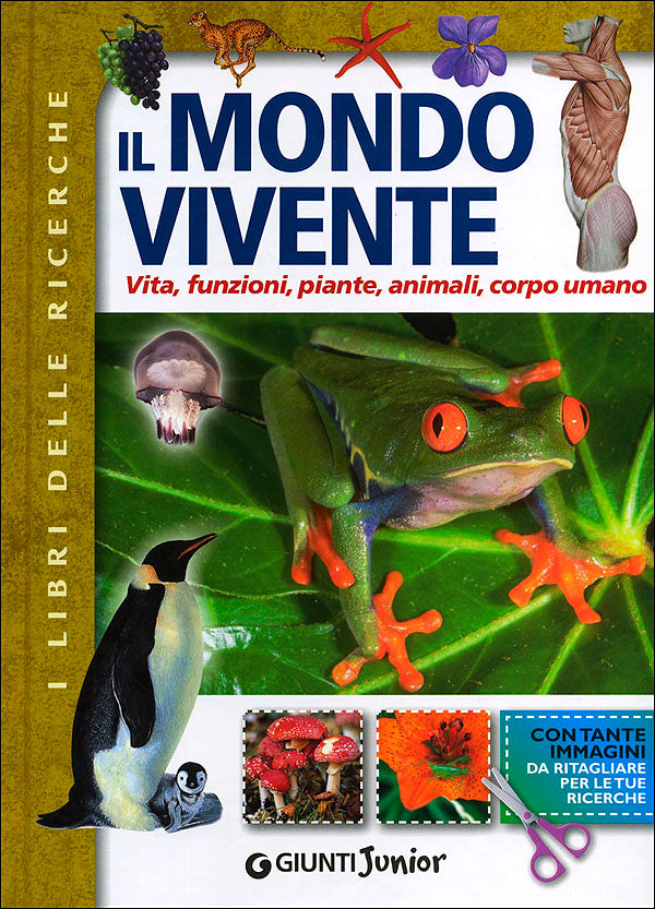 Il Mondo Vivente::Vita, funzioni, piante, animali, corpo umano - Con tante immagini da ritagliare per le tue ricerche