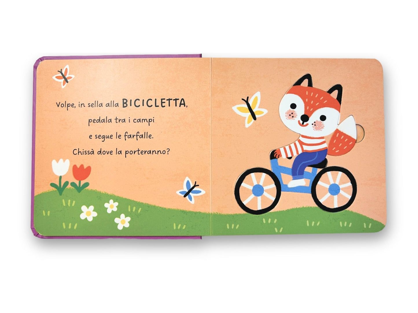 Il mio primo libro dei veicoli