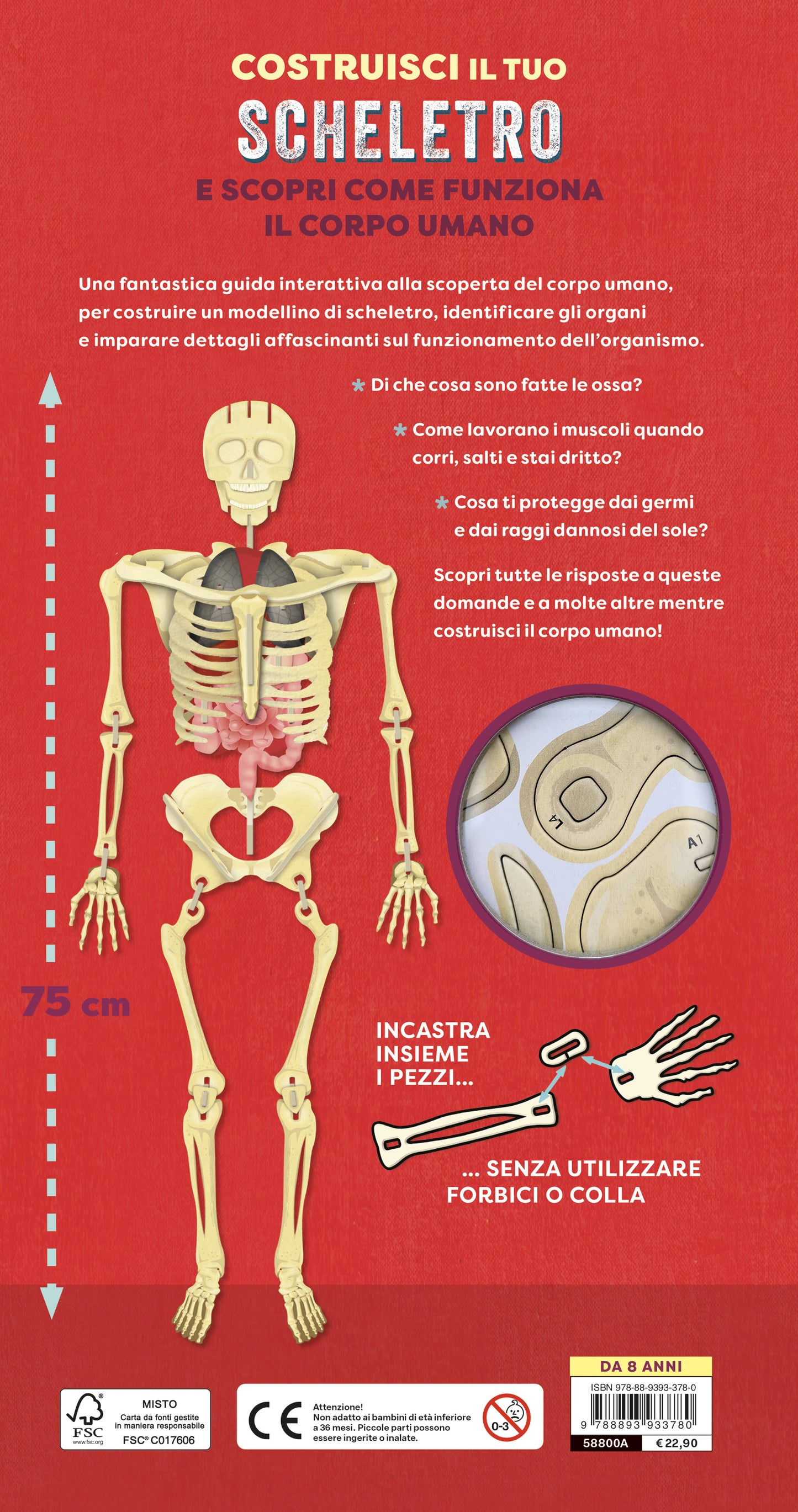 Costruisci il tuo scheletro::e scopri come funziona il corpo umano