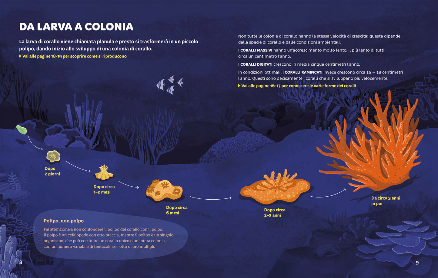 Foreste coralline::Un tesoro marino da preservare