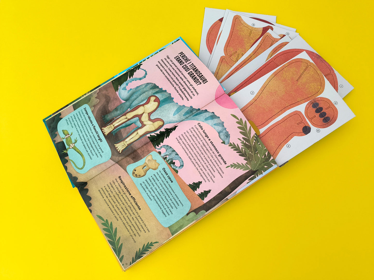 Costruisci il tuo titanosauro::Libro + modellino di 84 cm