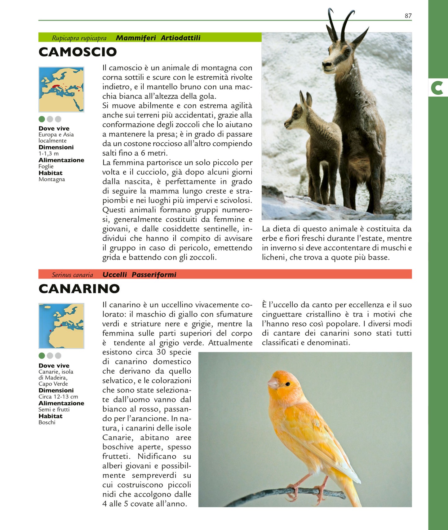 Grande enciclopedia illustrata degli animali