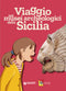 Viaggio nei musei archeologici della Sicilia