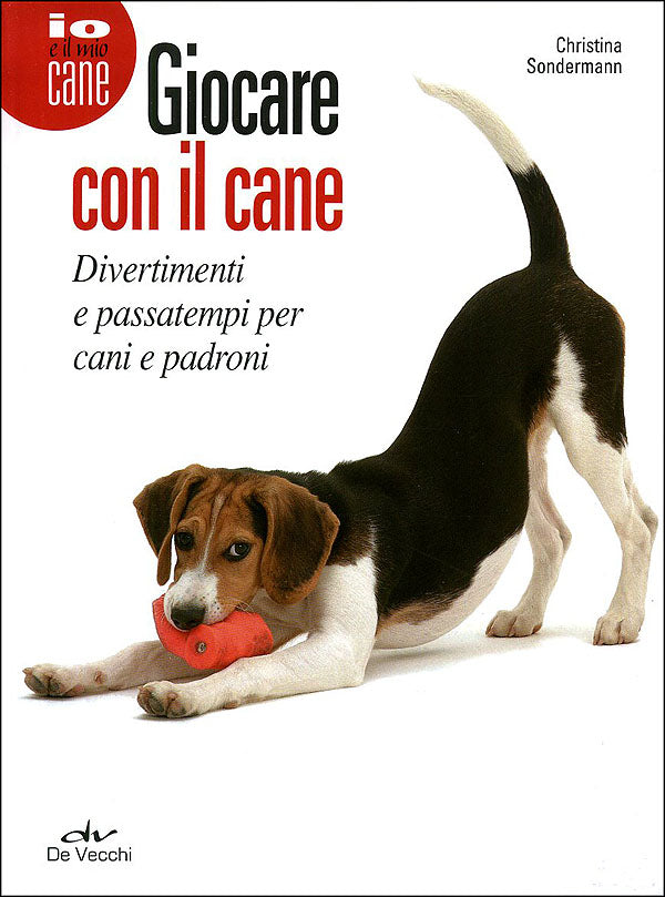 Giocare con il cane::Divertimenti e passatempi per cani e padroni
