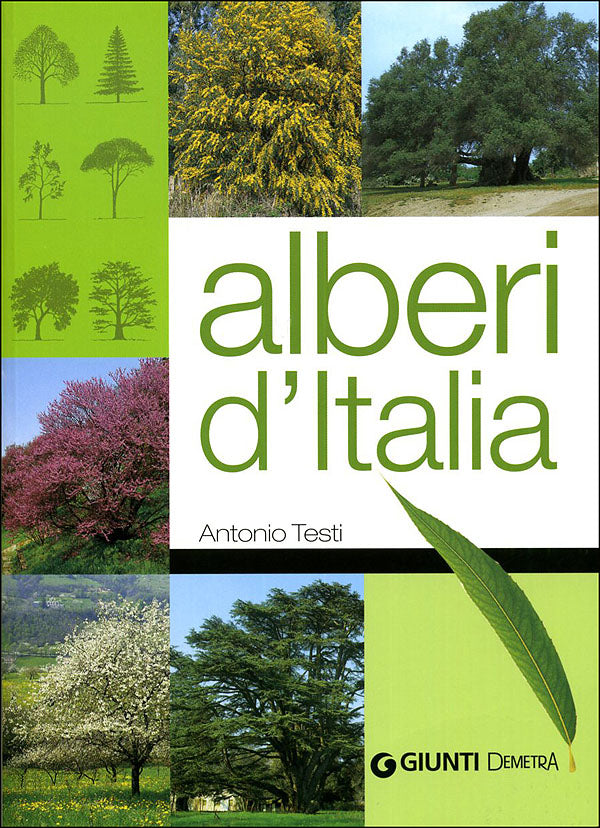 Alberi d'Italia
